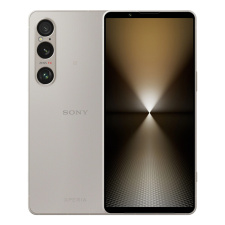 Sony Xperia 1 VI 12/256Gb Global Серебристый