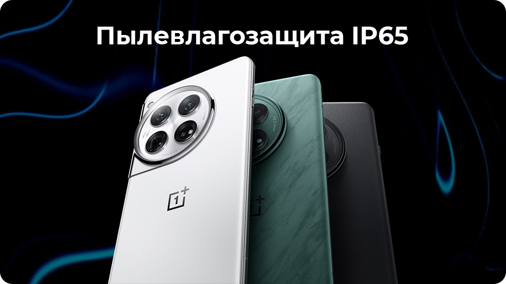 OnePlus 12 12/256Gb Dual nanoSim Черный Global