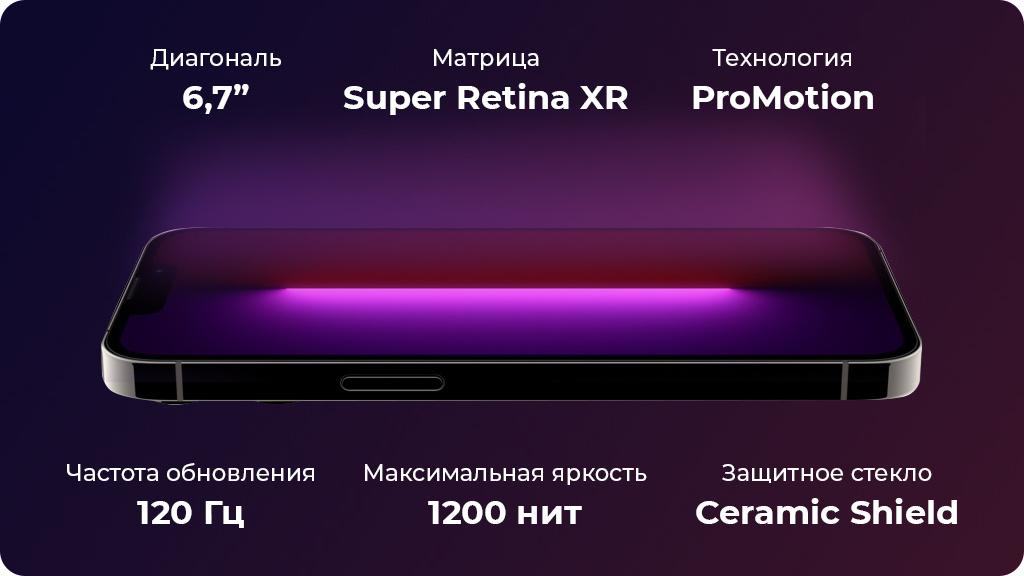 Apple iPhone 13 Pro Max 256Gb Серебристый (JP)