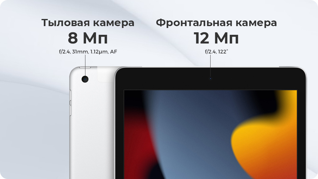 Apple iPad (2021) Wi-Fi 256Gb Серебристый (РСТ)